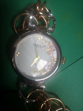 RELOJ AKRIBOS XXIV