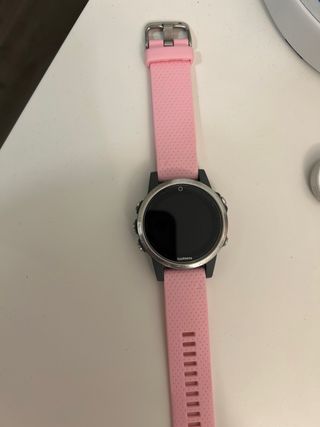 Garmin fenix 5s