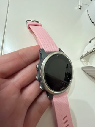 Garmin fenix 5s