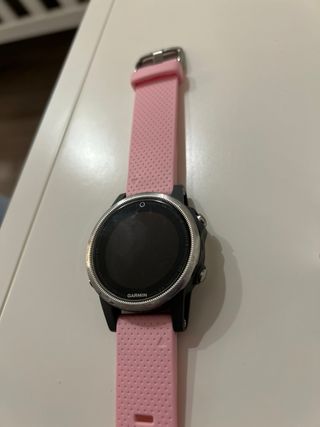 Garmin fenix 5s