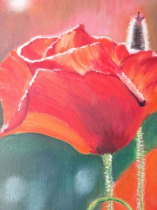 Cuadro pintura al óleo “Amapolas rojas “