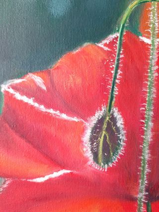 Cuadro pintura al óleo “Amapolas rojas “