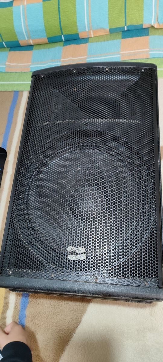 Altavoz 15" monitor