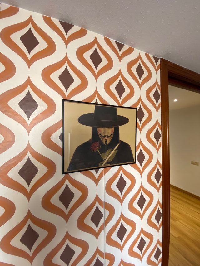 Cuadro con cristal 50x35 cm “V de Vendetta”