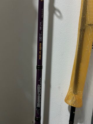 Caña pescar casting