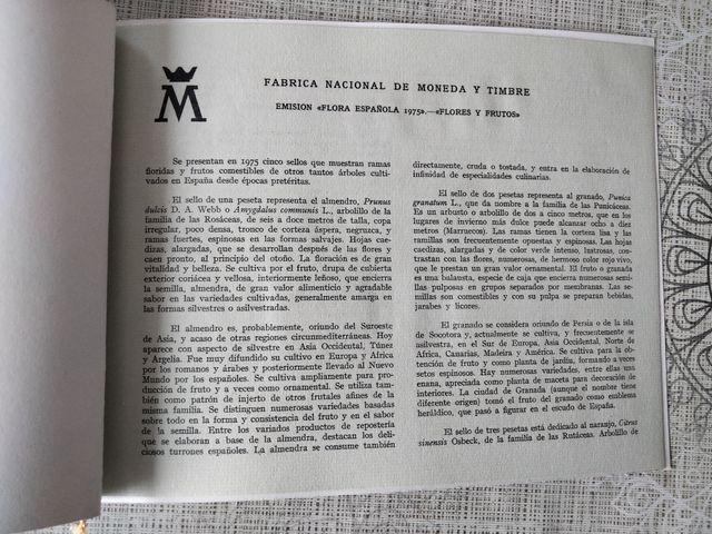 2 CARTELLE, TIMBRI, PRESENTAZIONI, E-MAIL