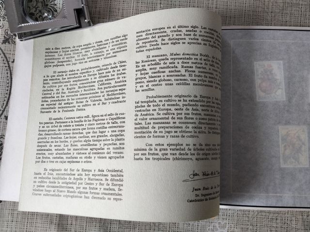 2 CARTELLE, TIMBRI, PRESENTAZIONI, E-MAIL