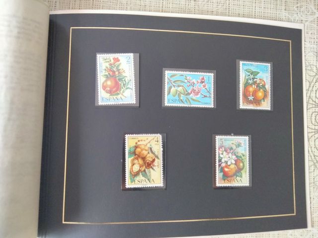 2 CARTELLE, TIMBRI, PRESENTAZIONI, E-MAIL