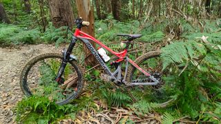 Mondraker Dune talla S (talla grande)