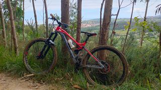 Mondraker Dune talla S (talla grande)