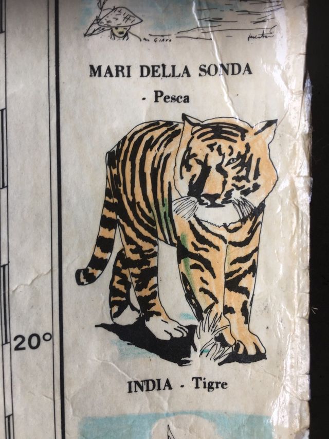 Cartina geografica Asia vintage