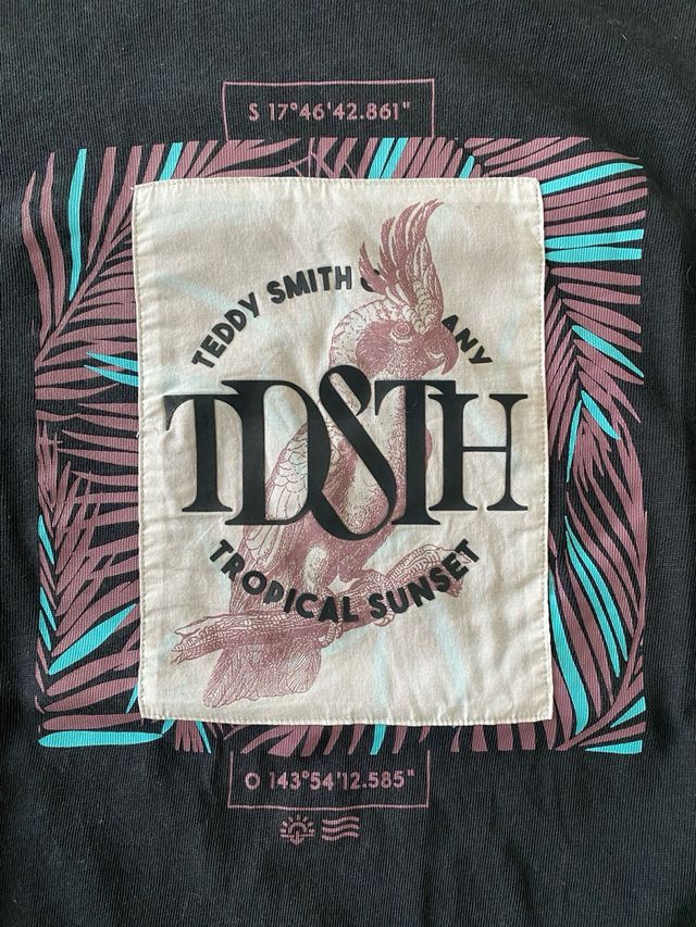 Maglietta uomo Teddy Smith