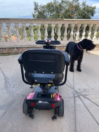 Scooter electrico BONSAI