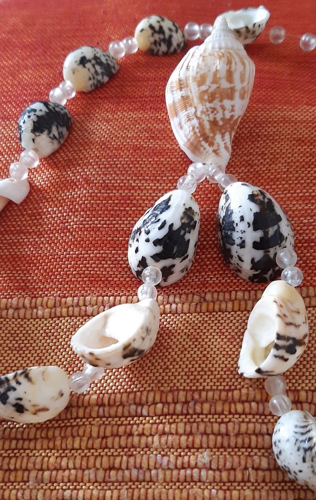 Collar conchas marinas
