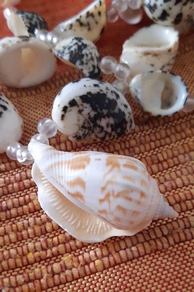 Collar conchas marinas