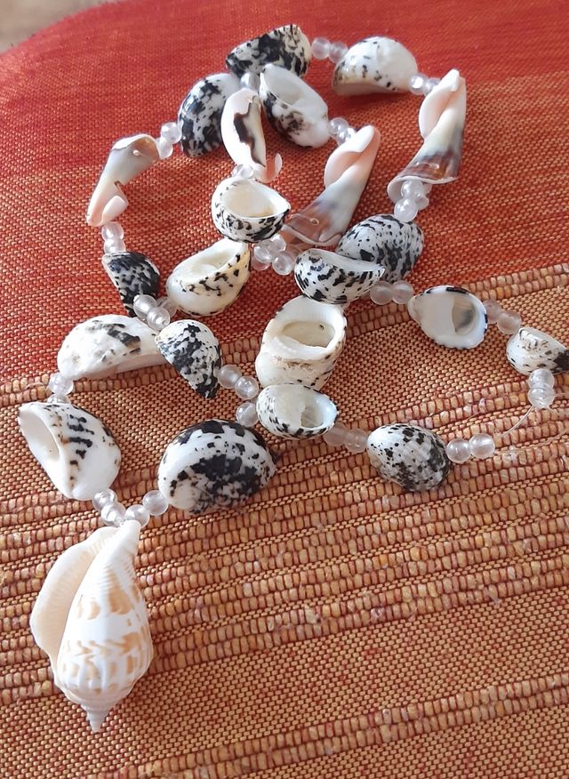 Collar conchas marinas
