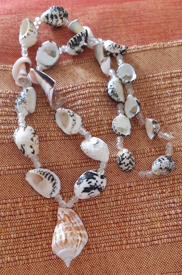 Collar conchas marinas