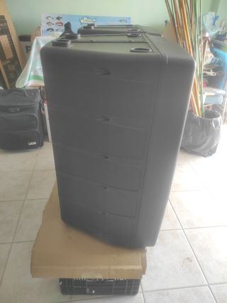 2 Altavoces autoamplificados 15" leer anuncio