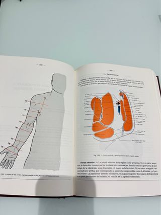 🎈Libro de Anatomía TOMO 3:Miembros.SNC.Solo envio🎈
