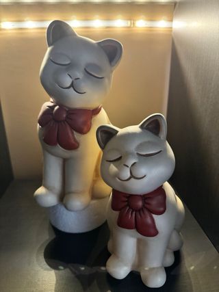 Thun coppia di gatti medio e grande con fiocco