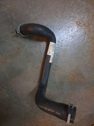 FORD FOCUS I 1.6 tubo radiador