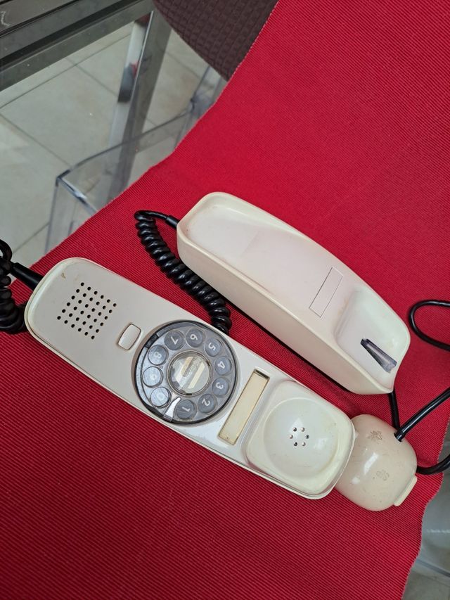 Telefono "grillo"