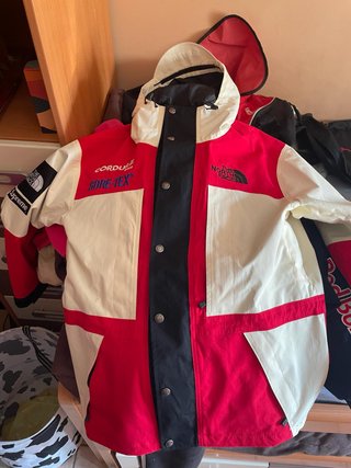 Chaqueta the north face