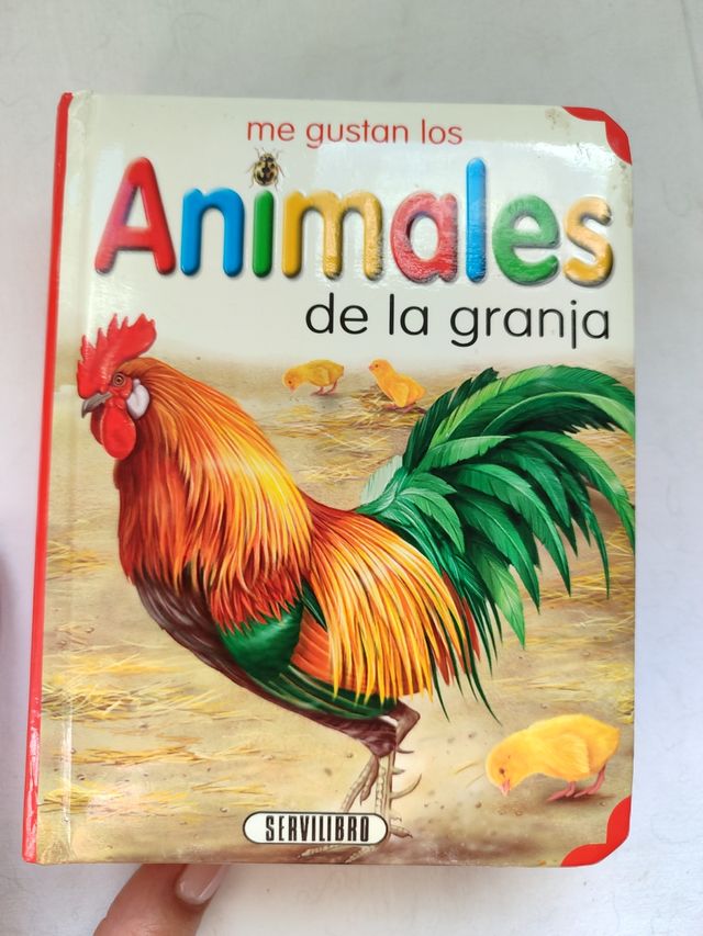Libro infantil 