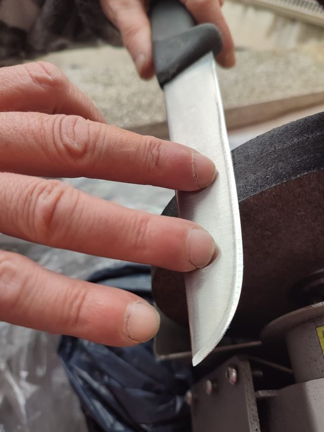 Afilado de cuchillos a domicilio