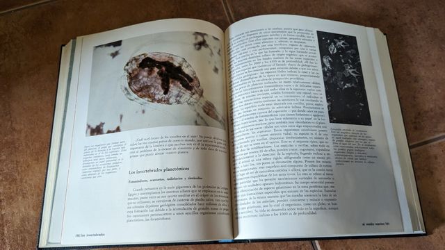 Enciclopedia formativa Marin