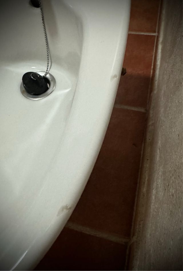 Bide con grifo y latiguillos