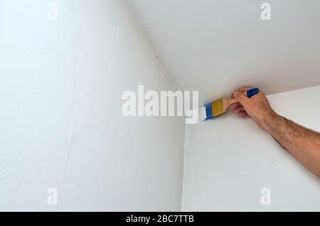 Pintor albañil manitas