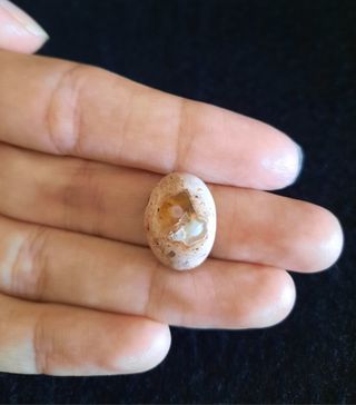 Ópalo de Fuego en Cantera de México