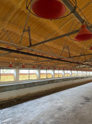 Materiales de granja avicola