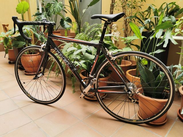 Bicicleta Trek de carretera