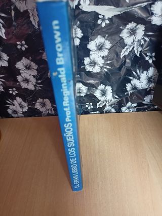 El gran libro de los sueños