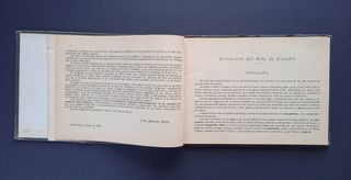 Antiguo Libro Caligrafía