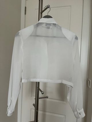 Camisa volantes Zara