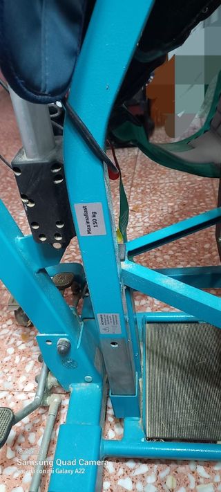 Grua bipedestacion