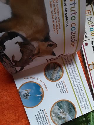 Libros, enciclopedia animales