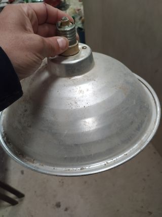 Calefactor electrico para aves 1 edad.