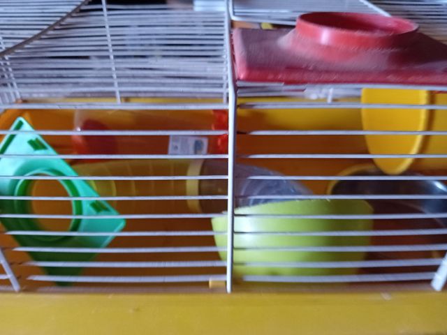 Jaula hamster