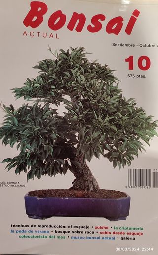 Revistas Bonsai