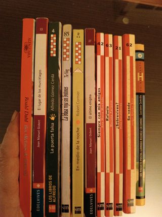 libros juvenil SM. Alfaguara. Roald Dahl.