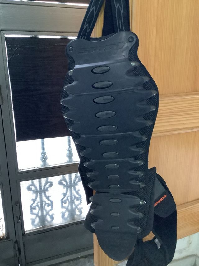 Espaldera de moto spidi