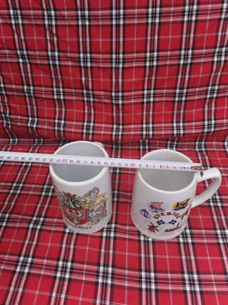 Jarras de cerveza de colección alemana