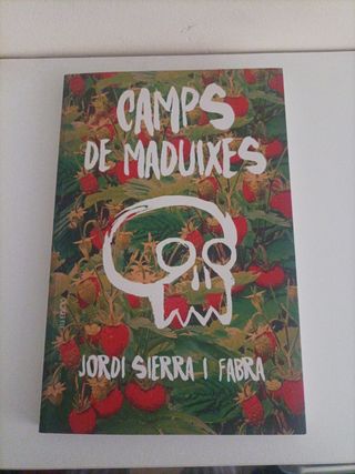 Camps de maduixes