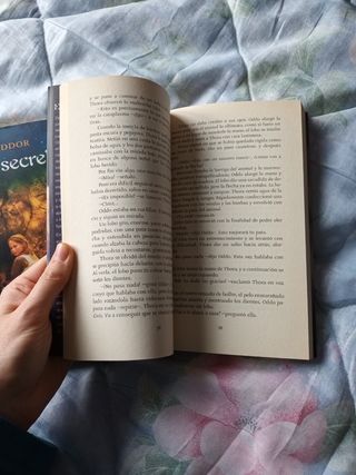 Saga Magia Vikinga tomos 1 y 2