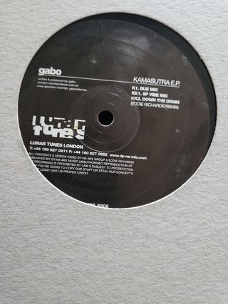 Vinilo electronica