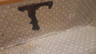 Maleta rígida regulable